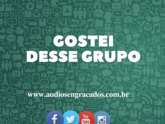 Áudio Gostei desse Grupo