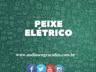 Áudios - Peixe Elétrico