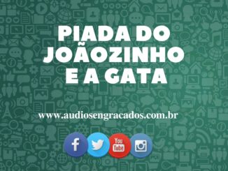 Áudio Engraçado - Piada do Joãozinho e a Gata - audiosengracados.com.br